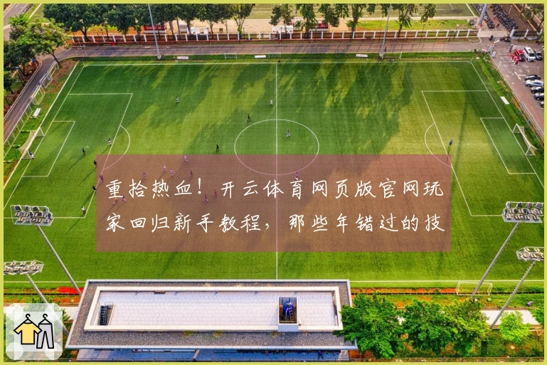 重拾热血！开云体育网页版官网玩家回归新手教程，那些年错过的技巧与收益全揭秘